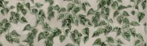 palmhouseivysingletile - Cavtiles Ivy Single Decor